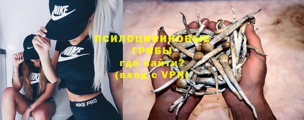apvp Алагир