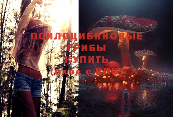 марки nbome Магадан